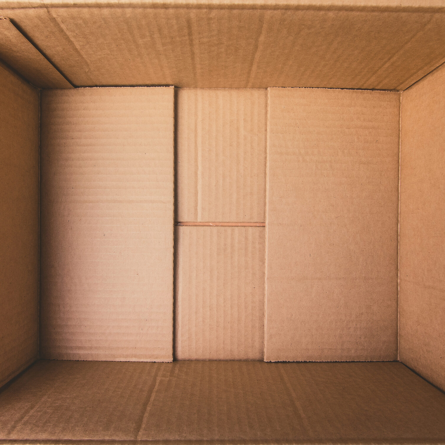 Empty open rectangular cardboard box close up.